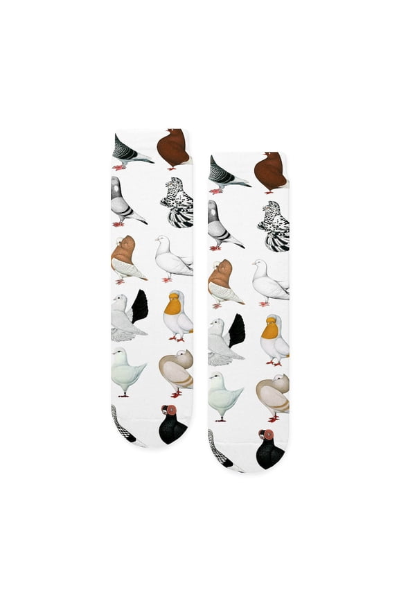 - 36 Pigeon Breeds - Unisex Novelty Printed Crew Adult Socks