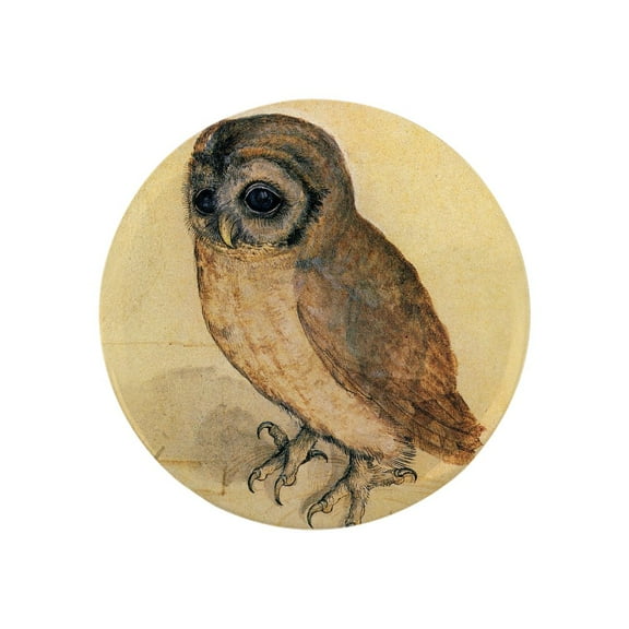 CafePress - Albrecht Durer Little Owl Magnets - 2.25" Round Magnet, Refrigerator Magnet, Button Magnet Style