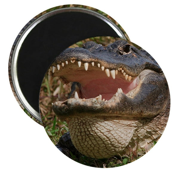 CafePress - Alligator With Teeth Showing Magnet - 2.25" Round Magnet, Refrigerator Magnet, Button Magnet Style