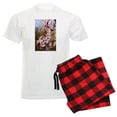 thumbnail image 1 of CafePress - Almond Blossoms In Spring Men's Light Pajamas - Men's Light Loose Fit Cotton Pajama Set, 1 of 7