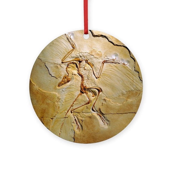 CafePress - Archaeopteryx Fossil, Berlin Specim - Round Wood Ornament 4"