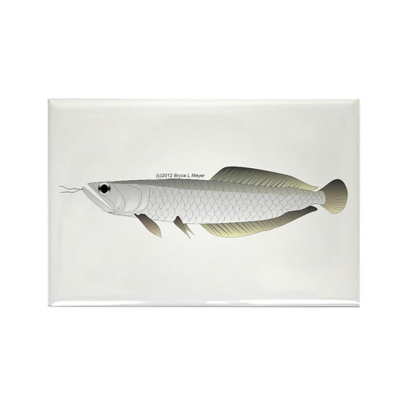 CafePress - Arowana (From Audreys Amazon River) Rectangle Magn - Rectangle Magnet, 2"x3" Refrigerator Magnet