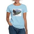 thumbnail image 1 of CafePress - Ash Grey California Condor T Shirt - Women's Classic T-Shirt, 1 of 4