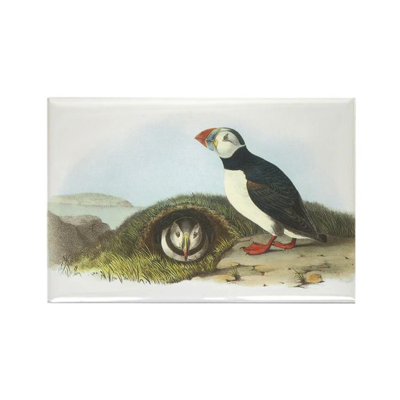 CafePress - Atlantic Puffin - Rectangle Magnet, 2"x3" Refrigerator Magnet