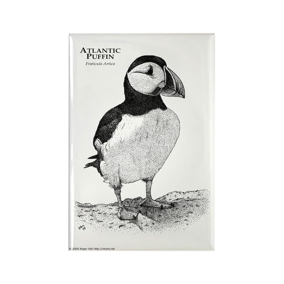 CafePress - Atlantic Puffin - Rectangle Magnet, 2"x3" Refrigerator Magnet