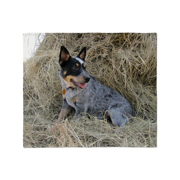 CafePress - Australian Blue Heeler Pup Throw Blanket - Soft Fleece Throw Blanket, 50"x60" for All Ages