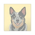 thumbnail image 1 of CafePress - Australian Cattle Dog Sticker - Square Sticker 3" x 3", 1 of 1