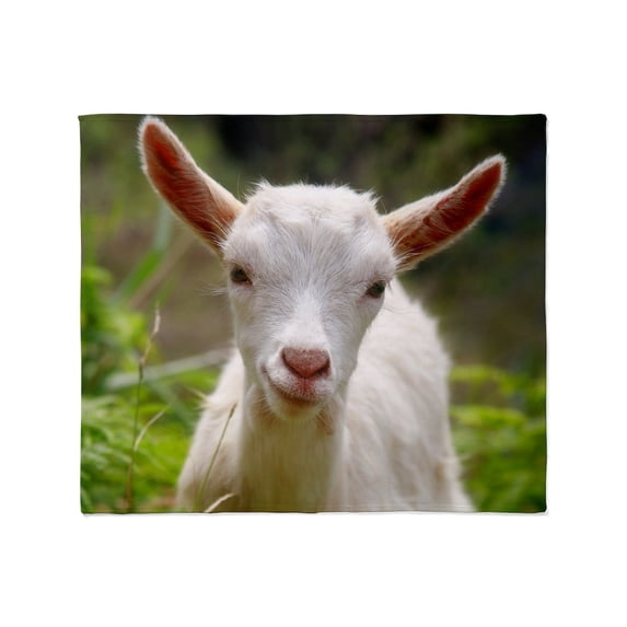 CafePress - Baby Goat Throw Blanket - Soft Fleece Throw Blanket, 50"x60" for All Ages