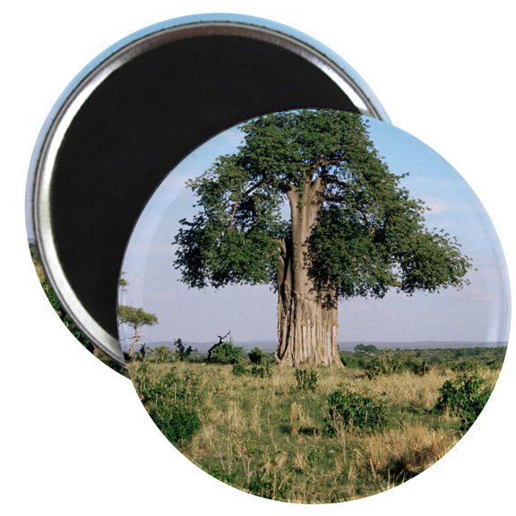 CafePress - Baobab Tree (Adansonia Digitata) Magnet - 2.25" Round Magnet, Refrigerator Magnet, Button Magnet Style