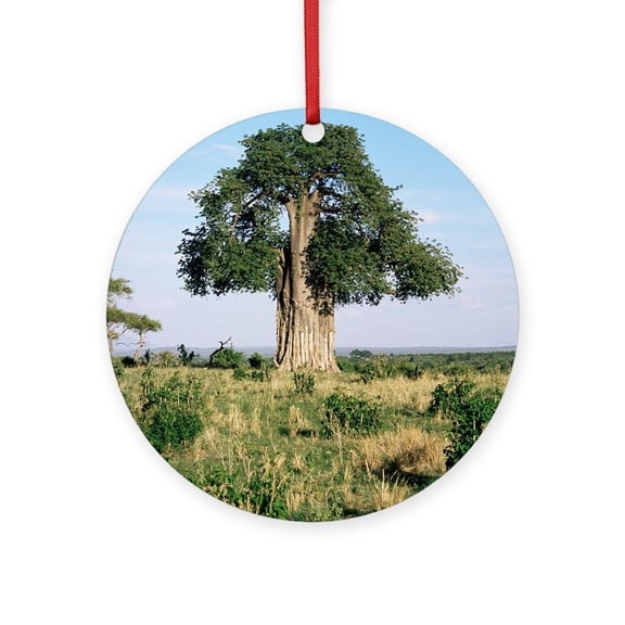 CafePress - Baobab Tree (Adansonia Digitata) -  Round Wood Ornament 4"
