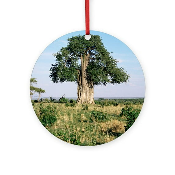CafePress - Baobab Tree (Adansonia Digitata) - Round Wood Ornament 4"