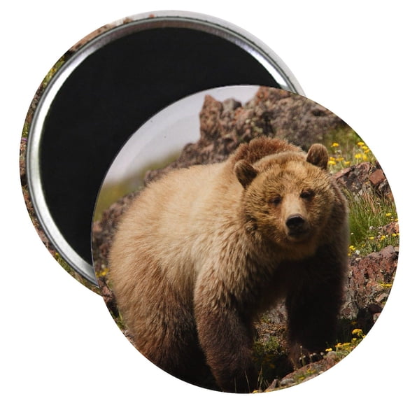 CafePress - Bear Magnet - 2.25" Round Magnet, Refrigerator Magnet, Button Magnet Style