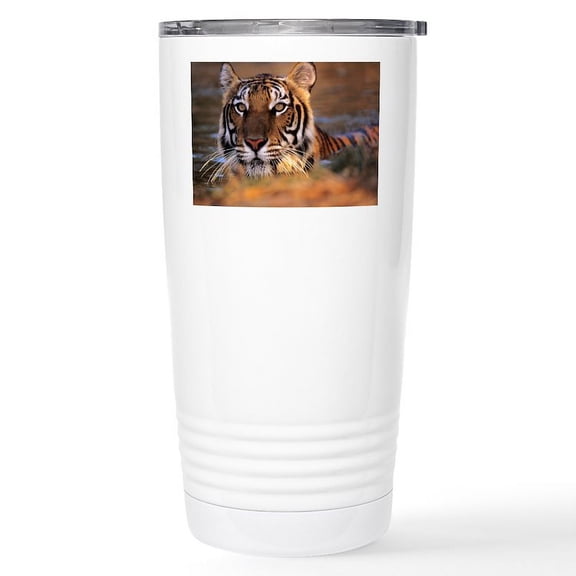 CafePress - Bengal Tiger (Panthera Tigris) Stainless Steel T - Insulated Stainless Steel Travel Tumbler 20 oz.