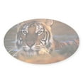thumbnail image 1 of CafePress - Bengal Tiger (Panthera Tigris) - Sticker (Oval), 1 of 1