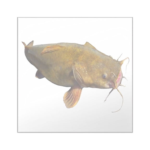 CafePress - Big Flathead Catfish Sticker - Square Sticker 3" x 3"