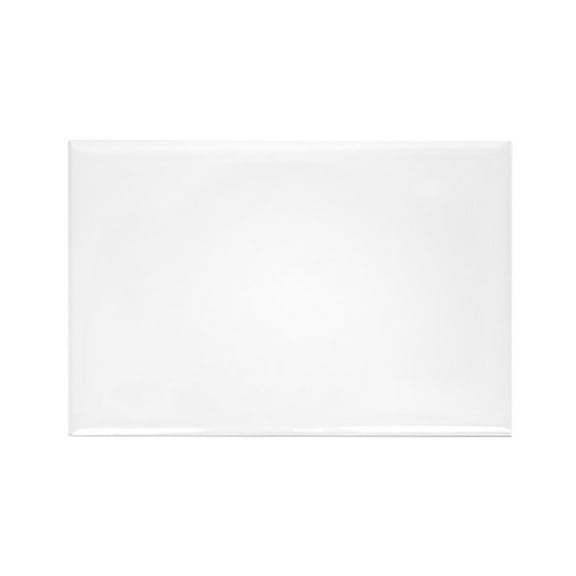 CafePress - Big Lake Corrected - Rectangle Magnet, 2"x3" Refrigerator Magnet