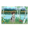 thumbnail image 1 of CafePress - Birches / Ger SH Pointer - Postcards (Package of 8), 1 of 3