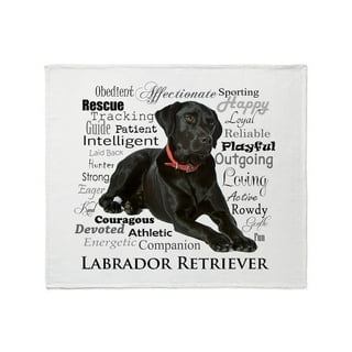 Black lab blanket walmart sale
