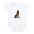 thumbnail image 1 of CafePress - Bloodhound (Sit) Infant Bodysuit - Baby Light Bodysuit, Size Newborn - 24 Months, 1 of 4