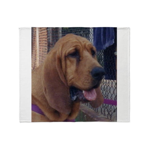 CafePress - Bloodhound - Soft Fleece Throw Blanket, 50"x60" for All Ages