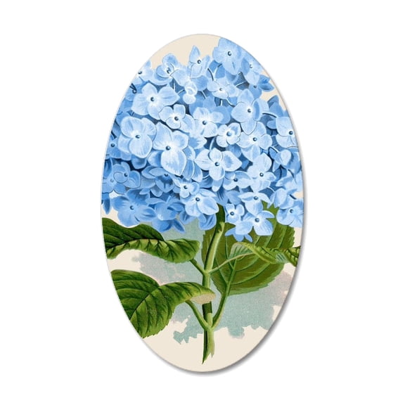 CafePress - Blue Hydrangea Flowers - 35x21 Oval Wall Decal