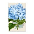thumbnail image 1 of CafePress - Blue Hydrangea Flowers - 35x21 Wall Decal, 1 of 3