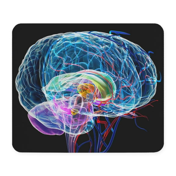 CafePress - Brain Anatomy, Artwork Mousepad - Non-slip Rubber Mousepad, Gaming Mouse Pad