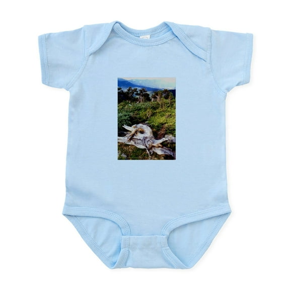 CafePress - Bristlecone Pines Infant Bodysuit - Baby Light Bodysuit, Size Newborn - 24 Months