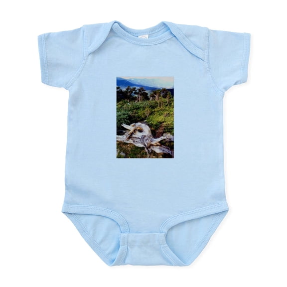 CafePress - Bristlecone Pines Infant Bodysuit - Baby Light Bodysuit, Size Newborn - 24 Months