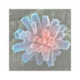thumbnail image 1 of CafePress - Calcium Phosphate Crystal, Square Sticker 3 X 3 - Square Sticker 3" x 3", 1 of 1