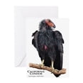 thumbnail image 1 of CafePress - California Condor - Greeting Card, Blank Inside Matte, 1 of 3