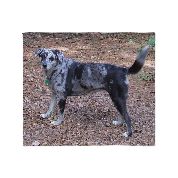 CafePress - Catahoula Leopard Dog Blue Merle Full Plush Fleece - Soft Fleece Throw Blanket, 50"x60" for All Ages