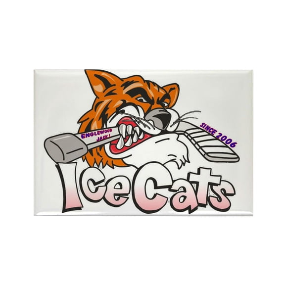 CafePress - Cats Since 2K6 - Rectangle Magnet, 2"x3" Refrigerator Magnet
