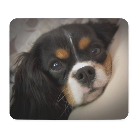 CafePress - Cavalier King Charles Spaniel Mousepad - Non-slip Rubber Mousepad, Gaming Mouse Pad
