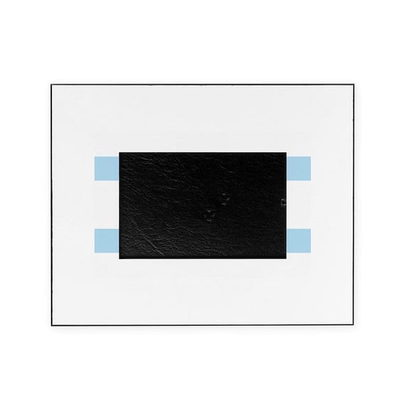 CafePress - Chicago Flag - Decorative 8x10 Picture Frame