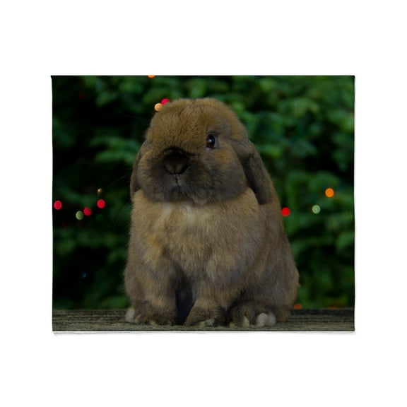 CafePress - Christmas Bunny Throw Blanket - Soft Fleece Throw Blanket, 50"x60" for All Ages