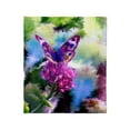 thumbnail image 1 of CafePress - Colorful Abstract Butterfly Throw Blanket - Soft Fleece Throw Blanket, 50"x60" for All Ages, 1 of 2