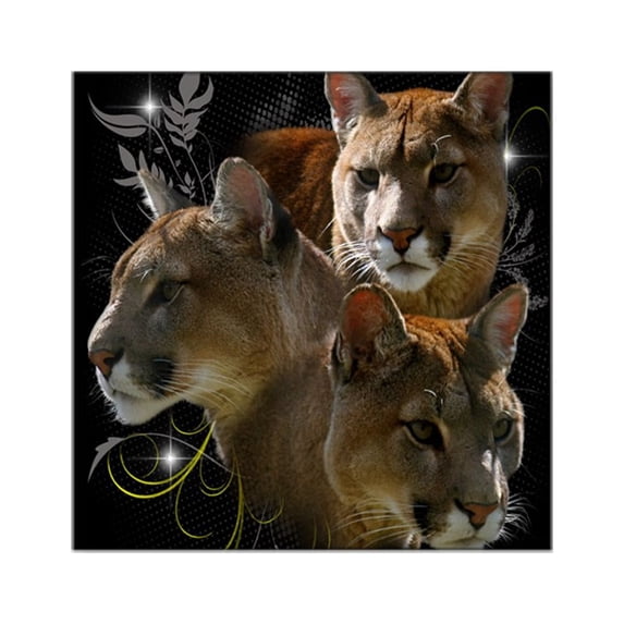CafePress - Cougar Square Sticker 3 X 3 - Square Sticker 3" x 3"