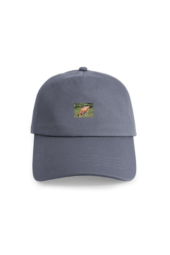 - Cows In Field On El Camino, Spain Cap - Adjustable 100% Brushed Unisex Casual Cotton Baseball Cap, Beige, 1