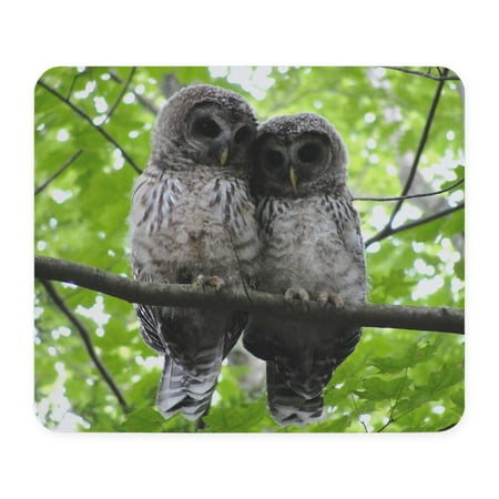 CafePress - Cuddling Owls Mousepad - Non-slip Rubber Mousepad, Gaming Mouse Pad