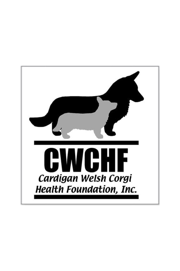 - Cwchfshirtlogo Square Sticker 3 X 3 - Square Sticker 3" x 3"