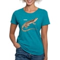 thumbnail image 1 of CafePress - Desertiguana076 Womens Tri Blend T Shirt - Womens Tri-blend T-Shirt, 1 of 4