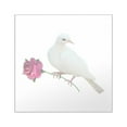 thumbnail image 1 of CafePress - Dove Rose Square Sticker 3 X 3 - Square Sticker 3" x 3", 1 of 1
