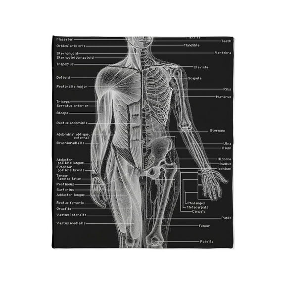 CafePress - Dr Human Body Throw Blanket - Soft Fleece Throw Blanket, 50"x60" for All Ages