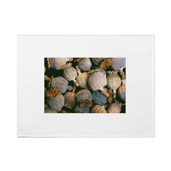 CafePress - Dried Opium Poppies Image - Large Plush Fleece Throw Blanket, 80" L x 60" W