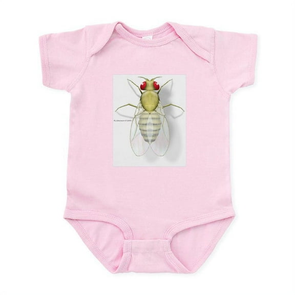 CafePress - Drosophila Infant Bodysuit - Baby Light Bodysuit, Size Newborn - 24 Months