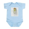 thumbnail image 1 of CafePress - Drosophila Infant Bodysuit - Baby Light Bodysuit, Size Newborn - 24 Months, 1 of 4