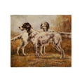 thumbnail image 1 of CafePress - English Setters Throw Blanket - Soft Fleece Throw Blanket, 50"x60" for All Ages, 1 of 5