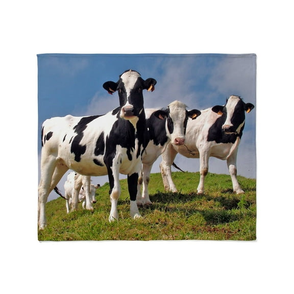 CafePress - Family Portrait Throw Blanket - Soft Fleece Throw Blanket, 50"x60" for All Ages