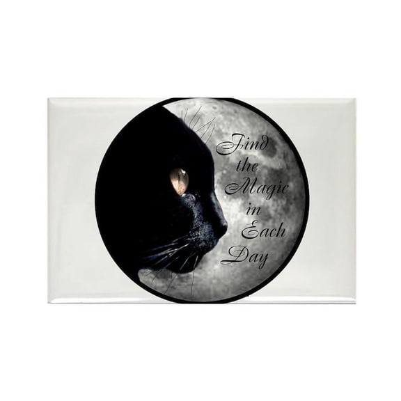 CafePress - Find The Magic S Magnets - Rectangle Magnet, 2"x3" Refrigerator Magnet